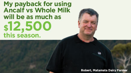 My payback for using Ancalf vs Whole Milk will be as much as $12,500 this season. Robert, Matamata Dairy Farmer.