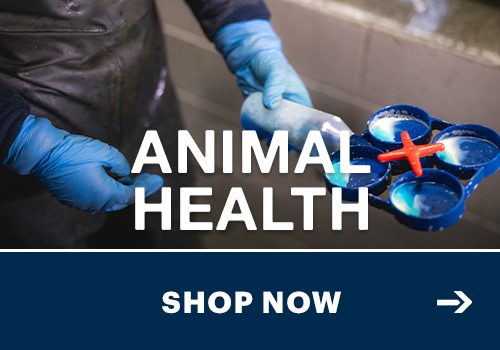 Shop Animal Health