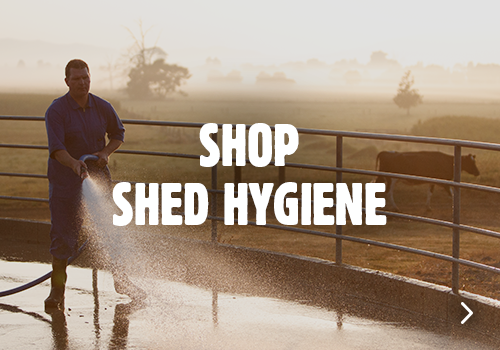 Shop shed hygiene
