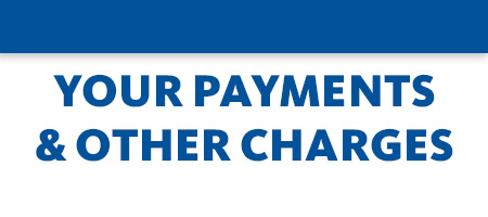 Your Payments & Other Charges