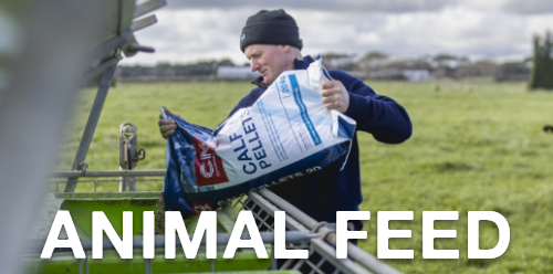 Shop Animal Feed