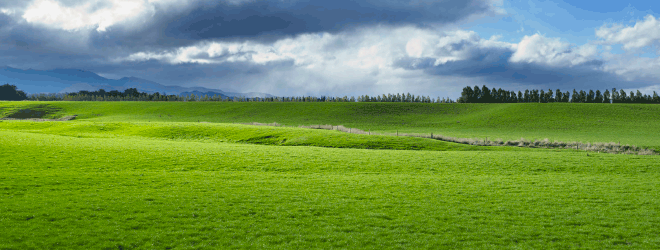 Making the most of nitrogen in tight times
