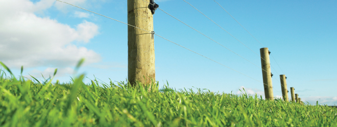 Quality fencing wire that's Kiwi to the core