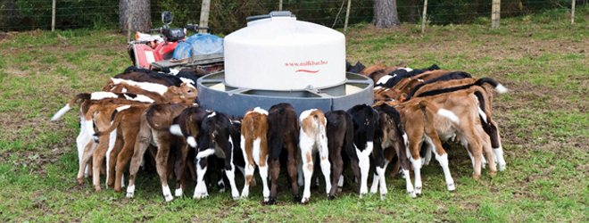 Future-proofing your calves 