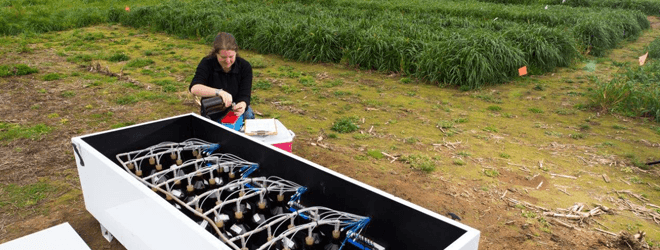 Measuring nitrogen leaching under maize