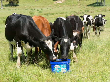 Next steps after weaning