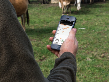 Making animal data management easy