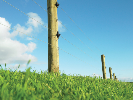 Quality fencing wire that's Kiwi to the core