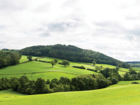 Nitrogen and sulphur powering spring growth