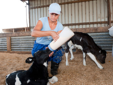 The importance of colostrum management