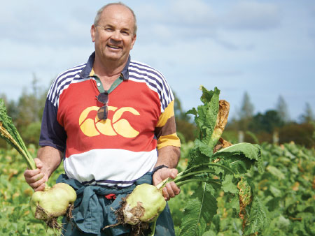 Understanding your options: Best practice management for brassicas