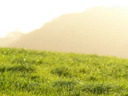 Kaipara farmers optimise spring inputs with TSR support