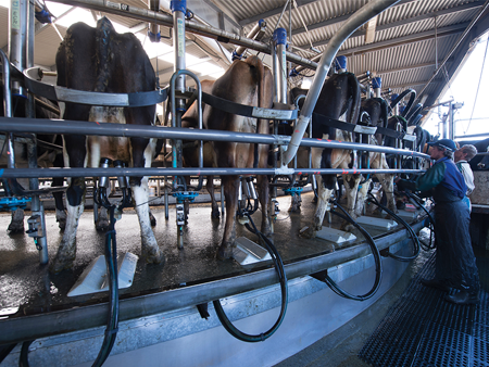 Your top quality milk starts now