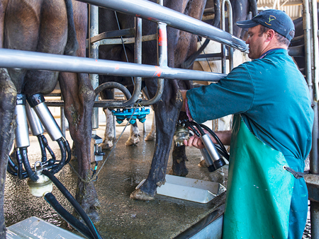 Assessing Your Milk Cooling Performance