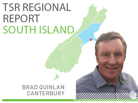 South Island TSR Regional Report - October 2018