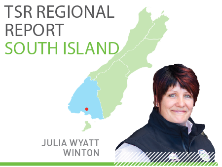 South Island TSR Regional Report - November 2018