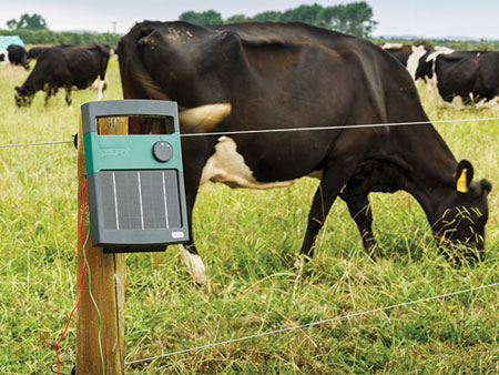 Strip grazing without mains power