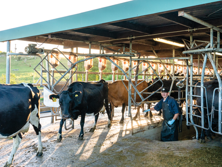 Zoonoses – the ‘invisible’ danger of calving