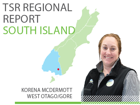 South Island TSR Regional Report - July 2019