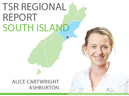 South Island TSR Regional Report - August 2019