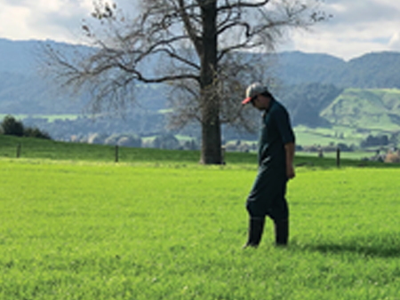 Keep pastures healthy and productive with spring weed control  