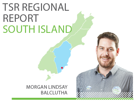 South Island TSR Regional Report - September 2019