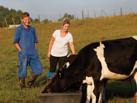 Drawing on this season’s calving lessons for great results next year 