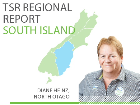 South Island TSR Regional Report - March 2020