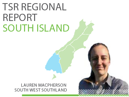 South Island - TSR Regional Report - June 2020
