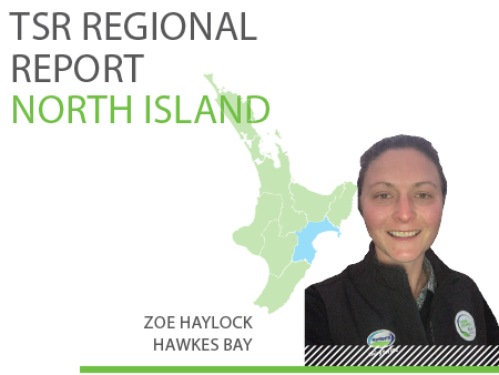 North Island - TSR Regional Report - August 2020