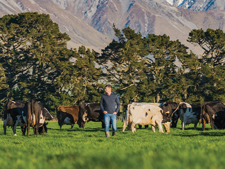 The value of pasture-based dairying beyond the farm gate