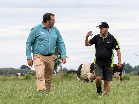 Capture the full potential of established pastures
