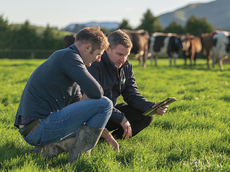 Fonterra's Digital Farm Insights continues to evolve