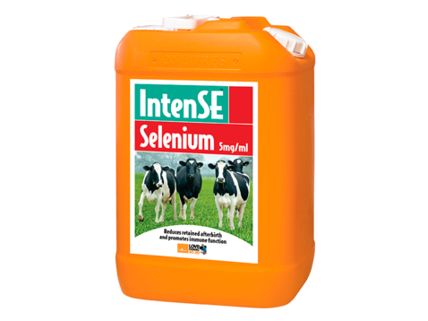 Bell-Booth IntenSe Selenium 5mg/ml 20L