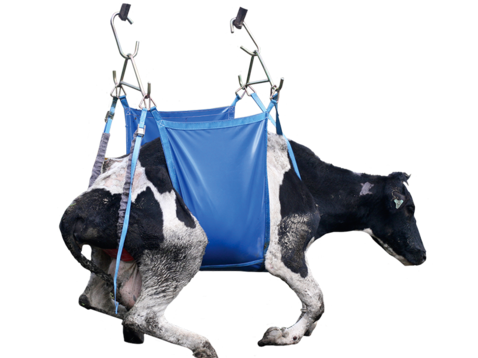 Shoof Daisy MK2 Cow Lifter Standard Cpt