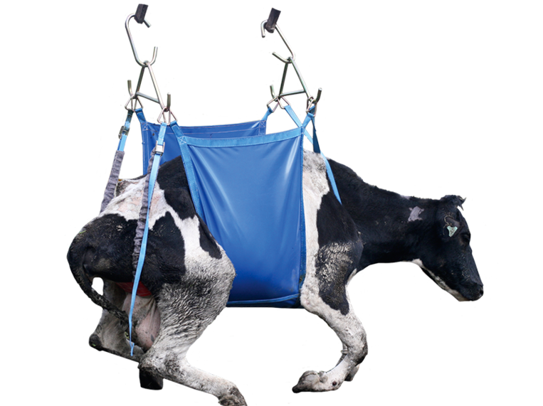 Shoof Daisy MK2 Cow Lifter Standard Cpt