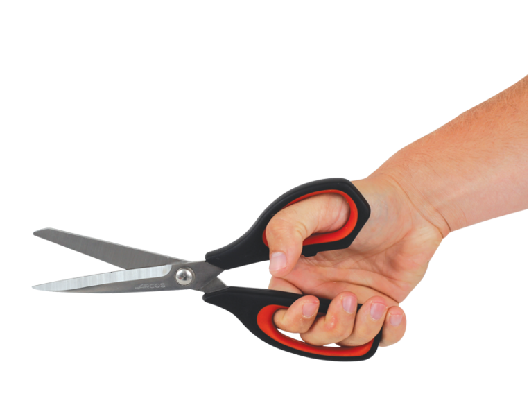 Shoof Tail Trimming Scissors NZ Farm Source