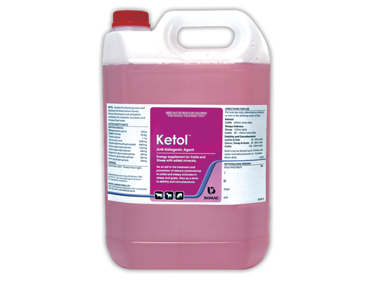 Ketol 5L