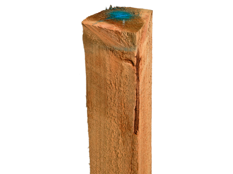 RWDNZ 1/4 Round Post No 2 1.8m