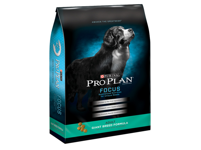 pro plan focus giant breed