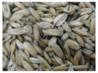 HRF Crushed Oats 25kg
