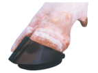 Shoof Easy Bloc Hoof Express Right Hoof 4 Pack