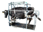 Wrangler Braked Rear Leg Winch - upgrade