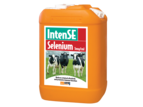 Bell-Booth IntenSE Selenium 2.5mg/ml 20L