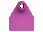 Allflex Eartag Lazatag Female Purple Small