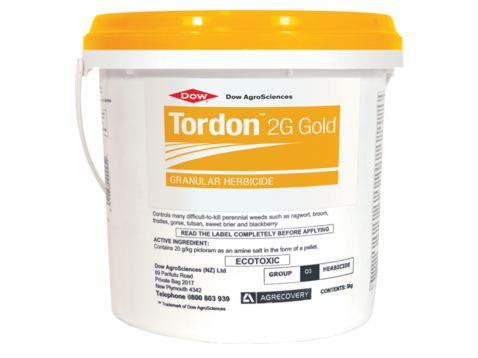 dracaena lemon surprise Dracaena Lemon Surprise | Care Guide and Pro Tips - Delivery from Toronto  across Canada main image 0