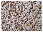 HR Fisken Whole Barley 25kg