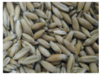 HR Fisken Whole White Oats 25kg