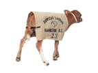 Duncans Canvas Jute Cow Cover 5'0