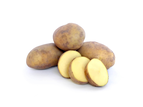 Agria Seed Potatoes 3kg
